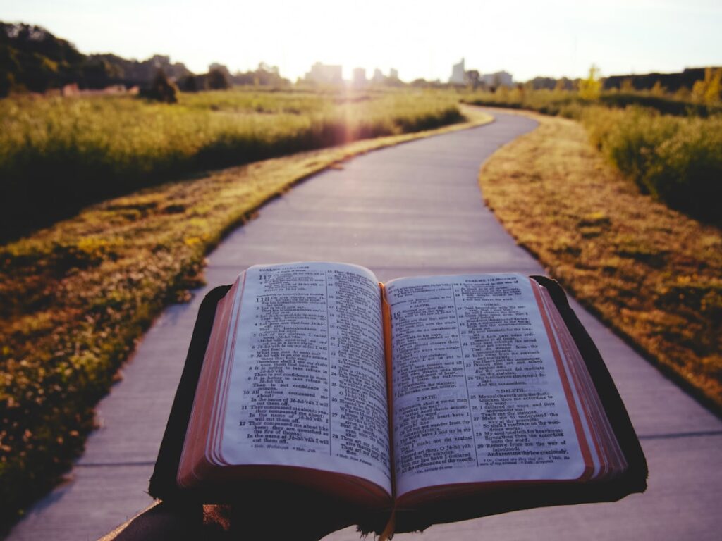 An open book outdoors in warm light, symbolising stories, choices and lasting life lessons