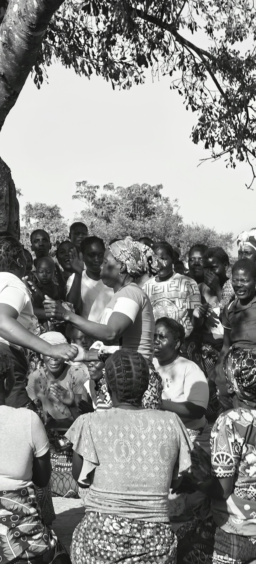 People gathered under a tree, evoking communal oral storytelling